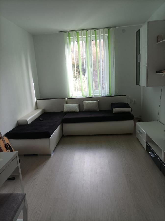 Apartament Doua Camere Uricani  Eksteriør billede